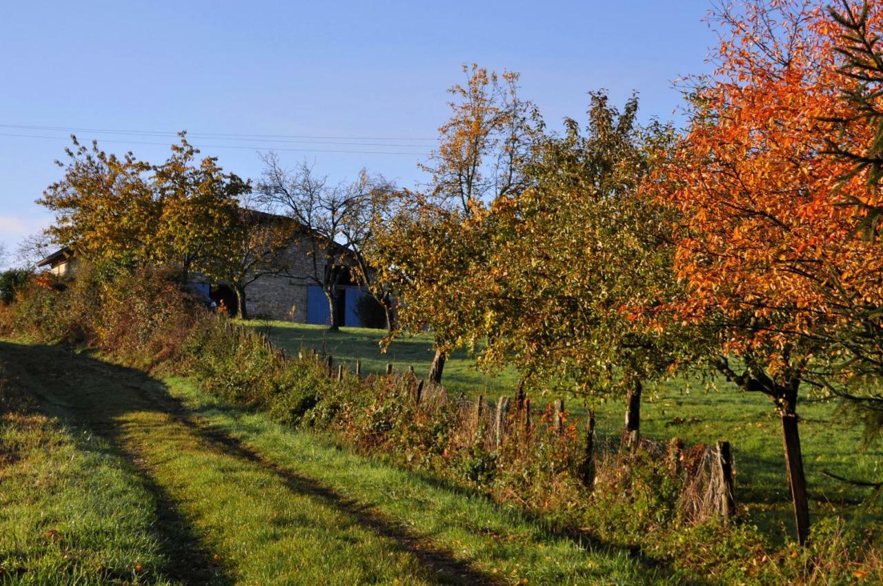 Terres De La Grange Bed and Breakfast Cuisiat Eksteriør billede